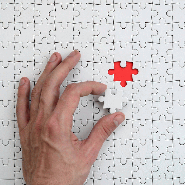 14 نکته کلیدی برای انس گرفتن عروس هلندی جدید با شما در 5 مرحله