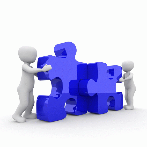 گربه هیمالین: ظرافتی برفی با چشمان آبی